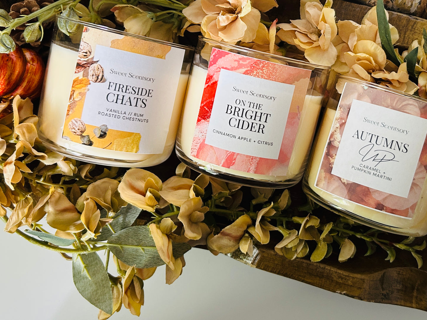 Autumns Up Trio Bundle